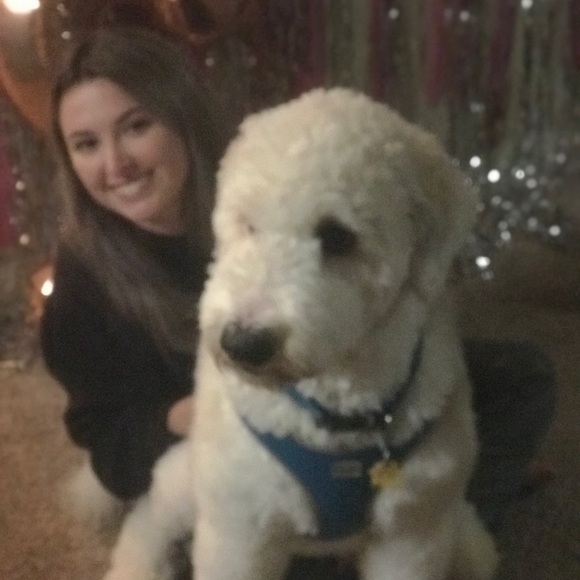 Meet your Posher, Anna - Picture 1 of 1